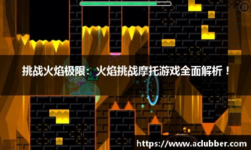 ng体育官方网站